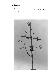 ia42000719_010