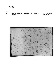 ia42001068_010