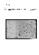 ia42001068_011