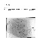 ia42001068_014