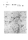 ia42001068_017