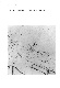 ia42001068_021