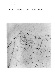 ia42001068_022