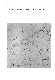 ia42001068_024