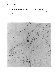 ia42001068_025