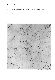 ia42001068_028