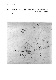 ia42001068_036