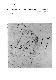 ia42001068_038
