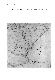 ia42001068_040