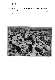ia42001068_046
