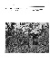 ia42001068_075