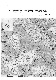 ia42001080_013