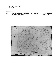ia42001080_018