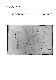 ia42001080_019