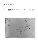 ia42001080_021