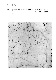 ia42001080_038