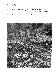 ia42001080_073