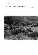 ia42001080_078