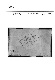 ia42001099_009