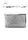 ia42001099_013