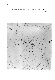 ia42001099_018