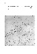 ia42001099_020