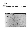 ia42001130_017