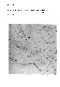 ia42001130_027