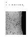 ia42001130_029