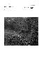 ia42001130_046