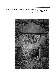 ia42001130_060