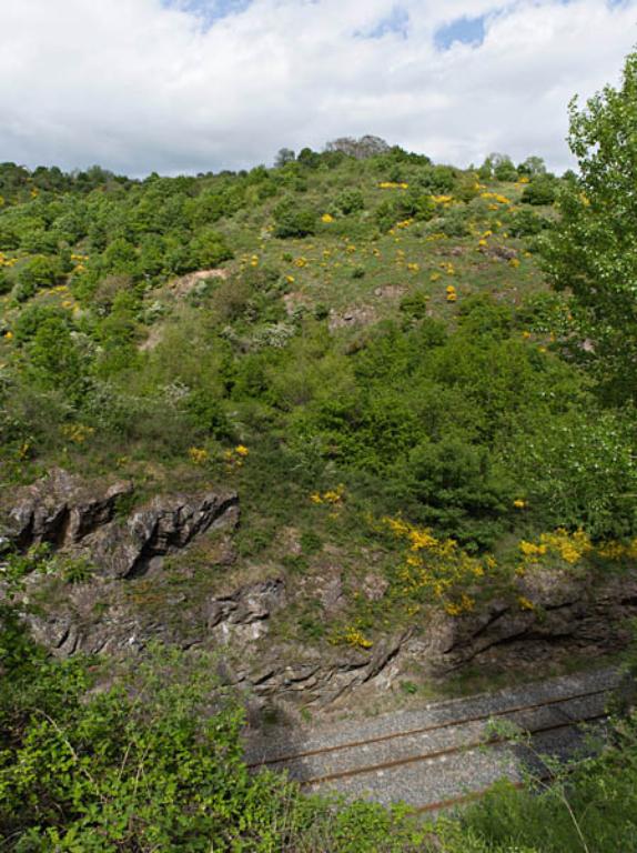 Ligne Moulins - Montluçon