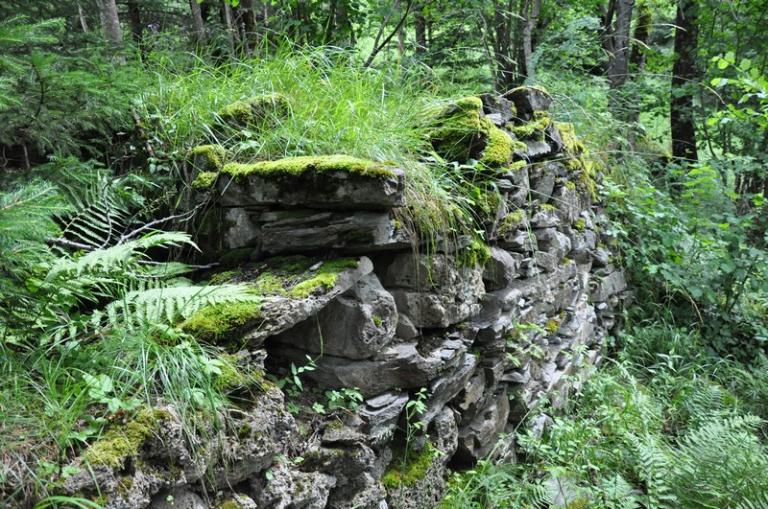 Moulin à farine et scierie à bois Rossat-Mignot actuellement vestiges