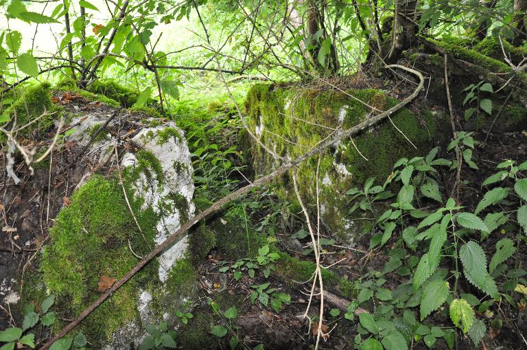 Moulins à farine et battoir à chanvre Fissore de la Scaletta actuellement vestiges