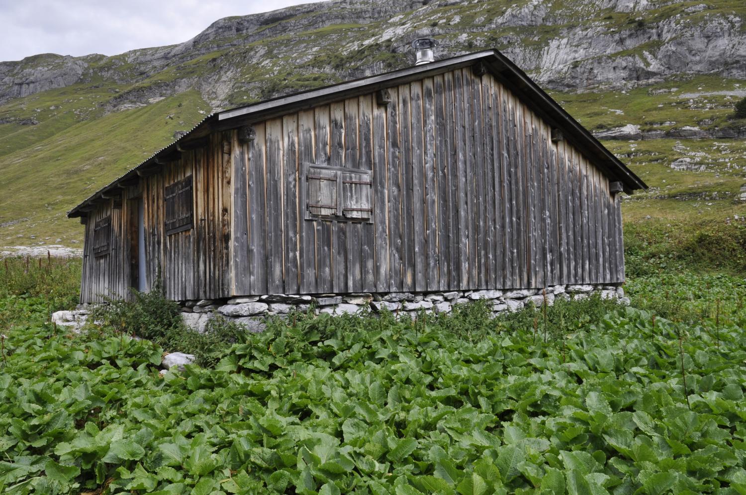 Chalet d'alpage puis fruitière