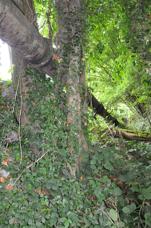 Martinet Besson puis moulin à farine Roux puis Berthet puis Portier actuellement vestiges