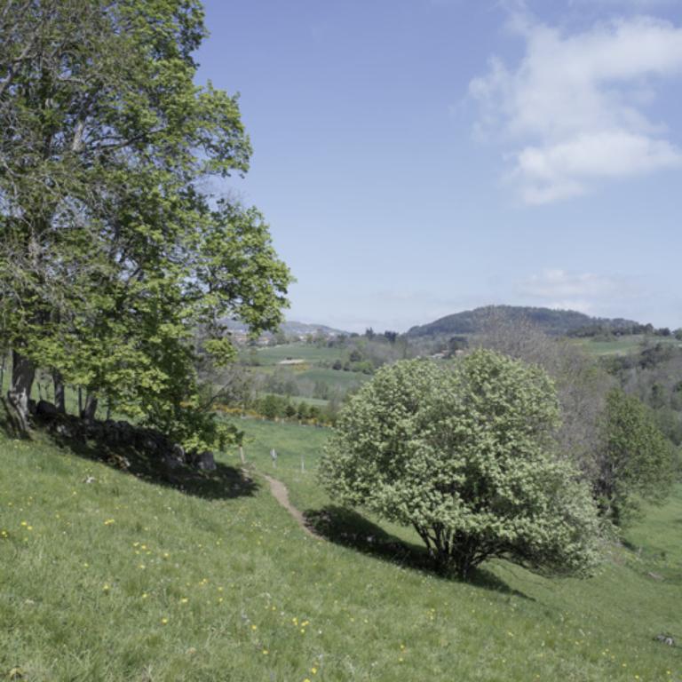 Présentation de la commune d'Essertines-en-Châtelneuf