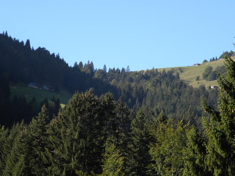 Les alpages du versant nord du col de la Frasse