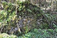 Moulin, martinet et scierie de la Chartreuse de Saint Hugon actuellement vestiges