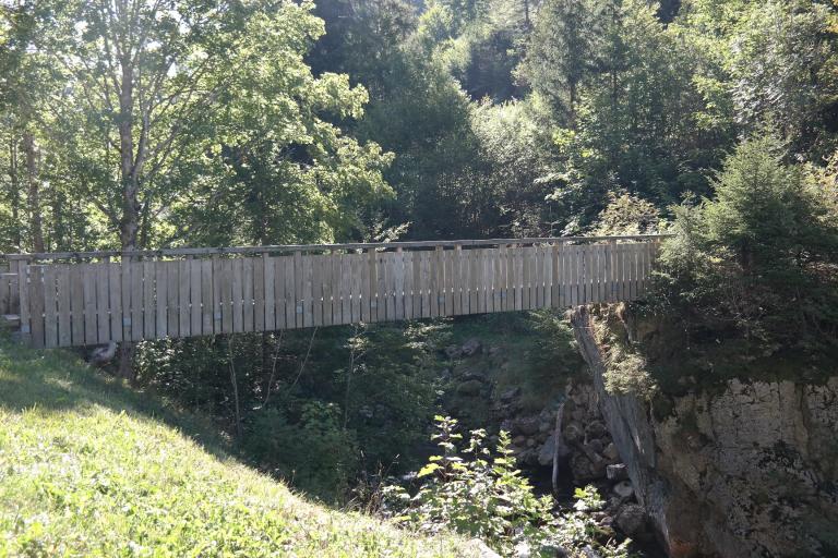 Passerelle piétonne de Porte