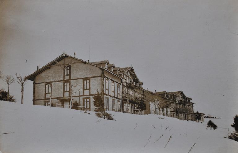 Hôtel de voyageurs, dit chalets-hôtels du Mont-Revard, puis Grand Hôtel PLM du Mont-Revard, actuellement immeuble à logements