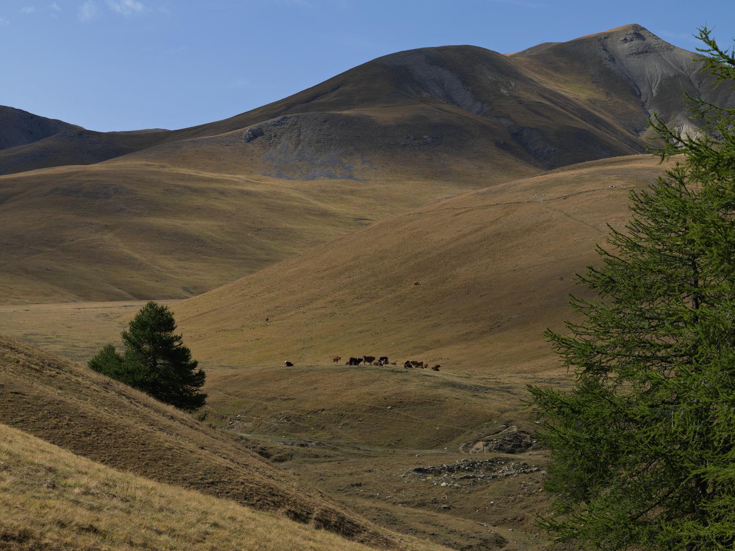 refuge de Longon