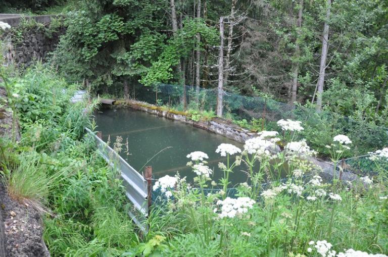 Scierie Ravier en cours de reconstruction