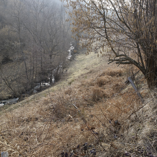 La Trésaillette vers le pont de l'Ollagnière (Essertines-en-Châtelneuf).