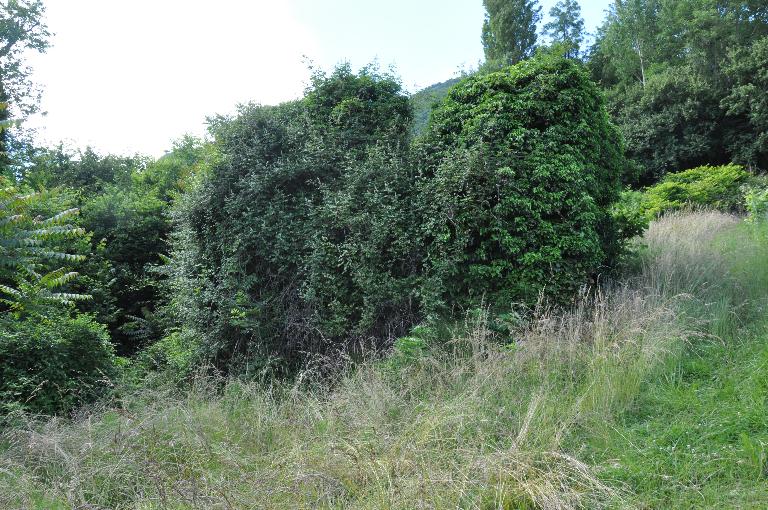 Moulins à farine de Lourdens actuellement vestiges