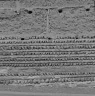 Ferme de type B, située sur la commune de Saint-Didier-de-Formans, au lieu dit le Berrier, parcelle B2 604. Mur de clôture, détail de mise en oeuvre des solins en brique et galet.