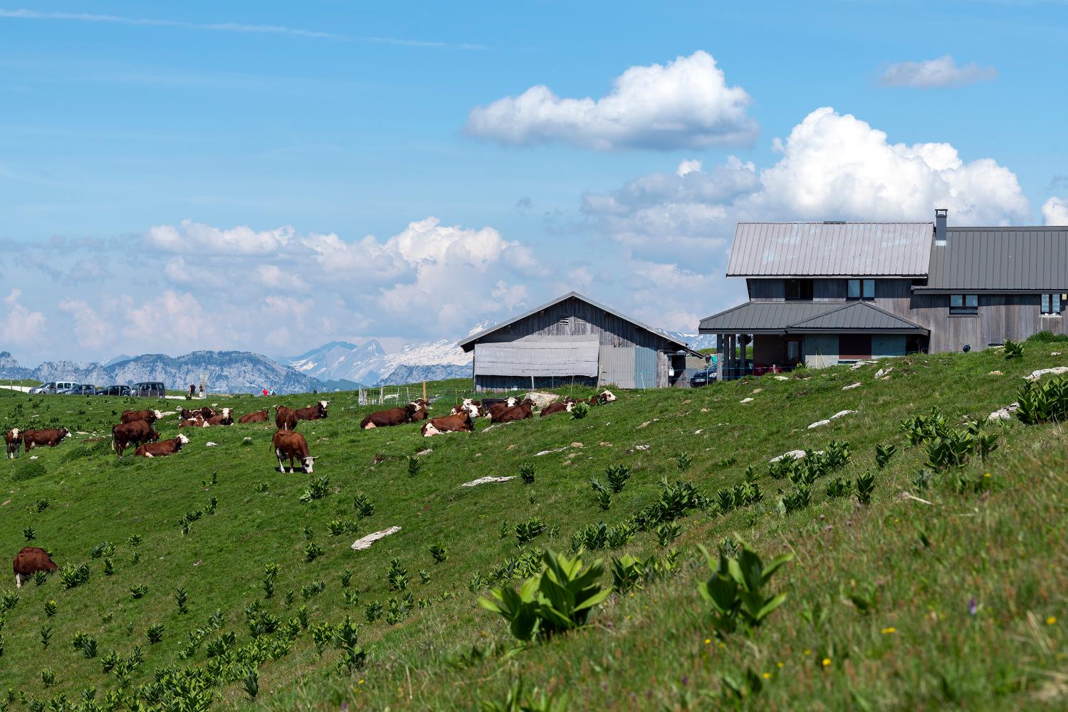 Chalets Dussolier puis Chalets des Frêtes (ou Sur Frettes)