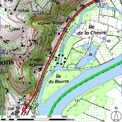 Bac à traille de Tupin, dit aussi bac Prunelle ou bac de la lône du Beurre (disparu)