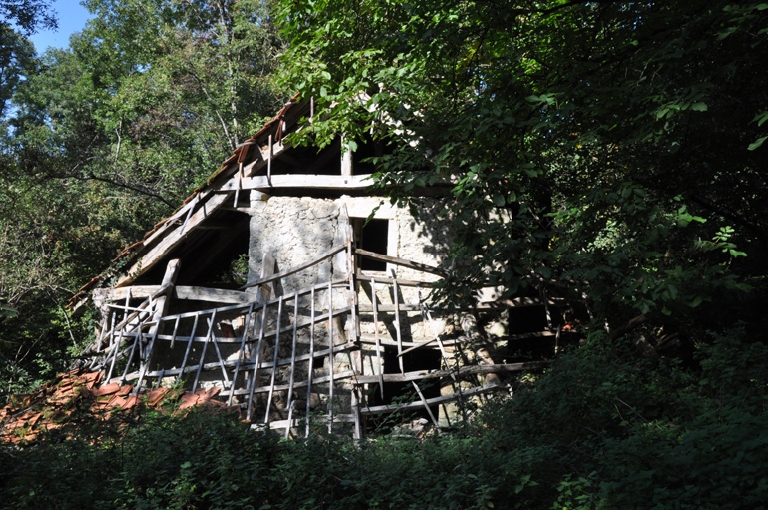 Moulin de la Forêt