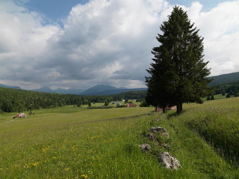 Les alpages de la montagne de Bange (Arith)